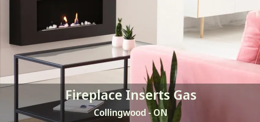 Fireplace Inserts Gas Collingwood - ON