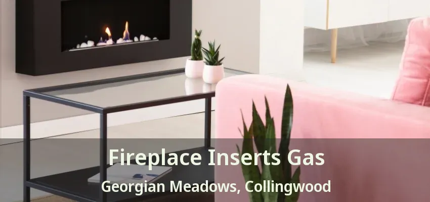 Fireplace Inserts Gas Georgian Meadows, Collingwood - ON
