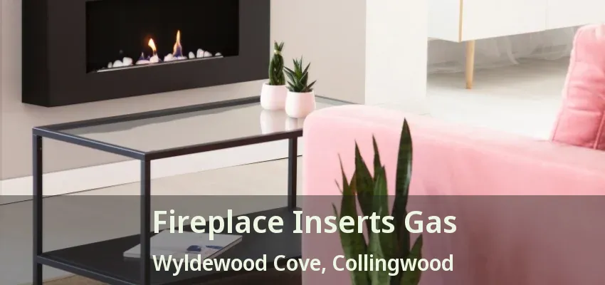 Fireplace Inserts Gas Wyldewood Cove, Collingwood - ON