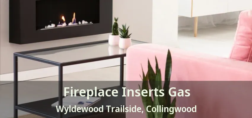 Fireplace Inserts Gas Wyldewood Trailside, Collingwood - ON