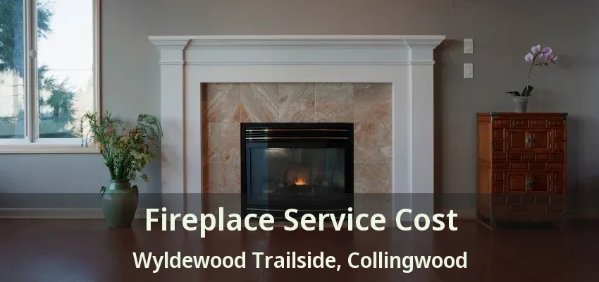 Fireplace Service Cost Wyldewood Trailside, Collingwood - ON