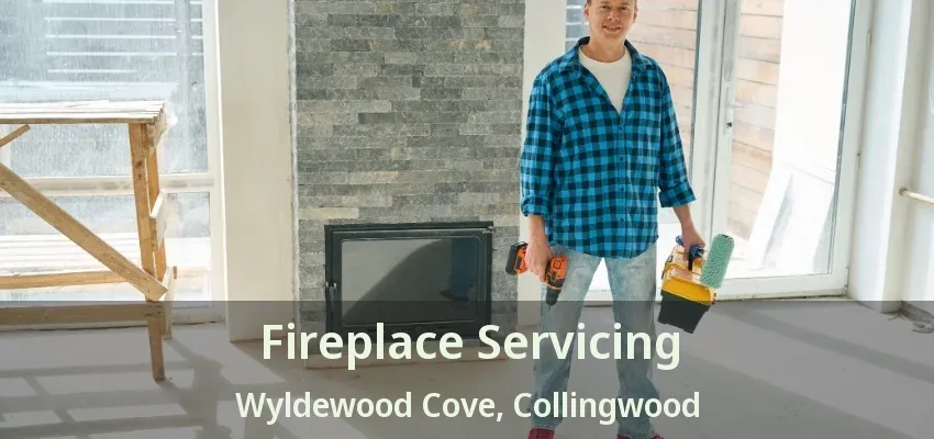 Fireplace Servicing Wyldewood Cove, Collingwood - ON Fireplace Servicing Wyldewood Cove, Collingwood - ON