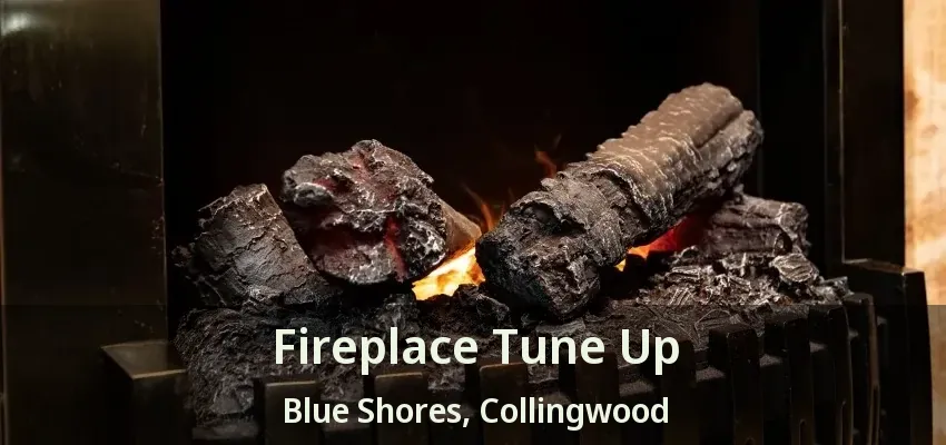 Fireplace Tune Up Blue Shores, Collingwood - ON
