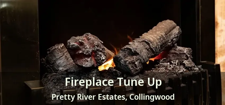 Fireplace Tune Up Pretty River Estates, Collingwood - ON
