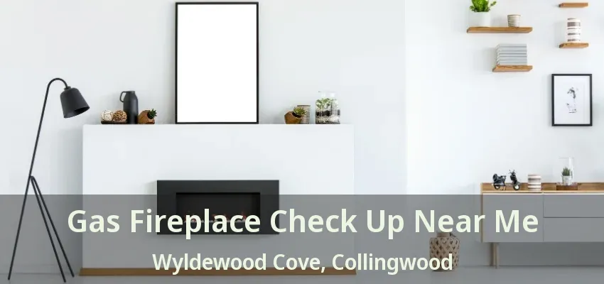 Gas Fireplace Check Up Near Me Wyldewood Cove, Collingwood - ON