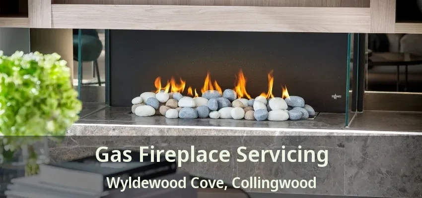 Gas Fireplace Servicing Wyldewood Cove, Collingwood - ON