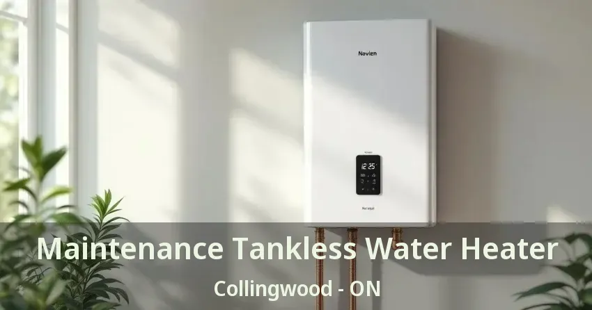 Maintenance Tankless Water Heater Collingwood - ON Maintenance Tankless Water Heater Collingwood - ON