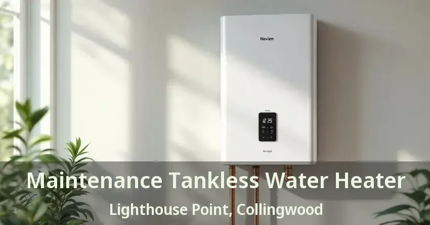 Maintenance Tankless Water Heater Lighthouse Point, Collingwood - ON