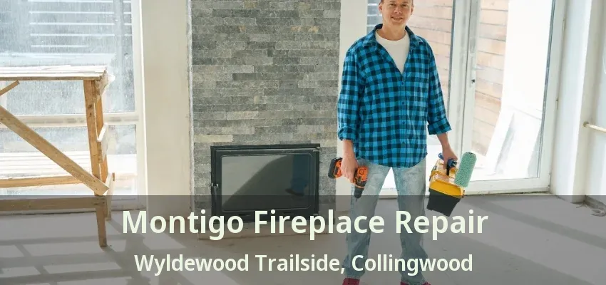 Montigo Fireplace Repair Wyldewood Trailside, Collingwood - ON Montigo Fireplace Repair Wyldewood Trailside, Collingwood - ON