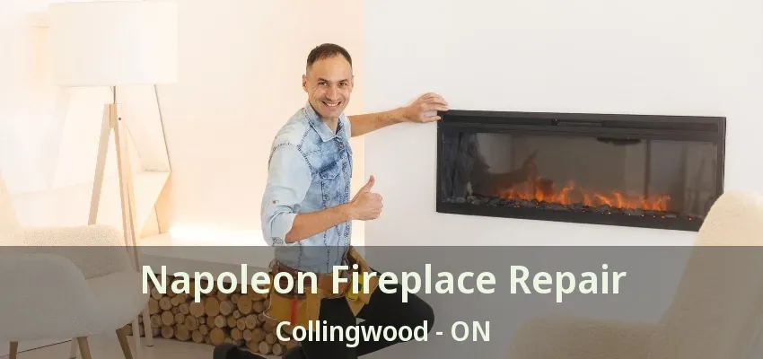 Napoleon Fireplace Repair Collingwood - ON Napoleon Fireplace Repair Collingwood - ON