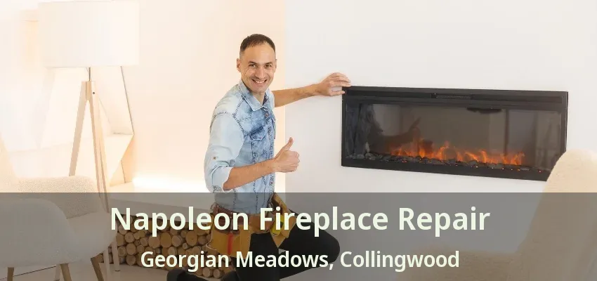 Napoleon Fireplace Repair Georgian Meadows, Collingwood - ON Napoleon Fireplace Repair Georgian Meadows, Collingwood - ON