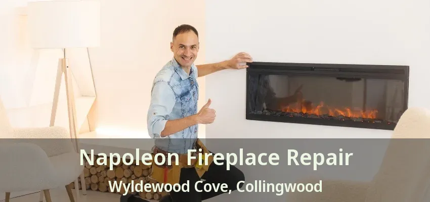 Napoleon Fireplace Repair Wyldewood Cove, Collingwood - ON Napoleon Fireplace Repair Wyldewood Cove, Collingwood - ON