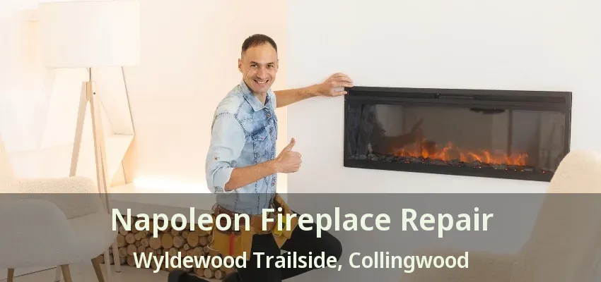 Napoleon Fireplace Repair Wyldewood Trailside, Collingwood - ON Napoleon Fireplace Repair Wyldewood Trailside, Collingwood - ON