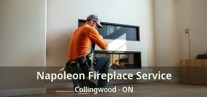 Napoleon Fireplace Service Collingwood - ON