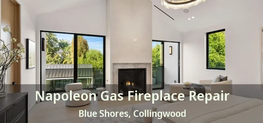 Napoleon Gas Fireplace Repair Blue Shores, Collingwood - ON Napoleon Gas Fireplace Repair Blue Shores, Collingwood - ON