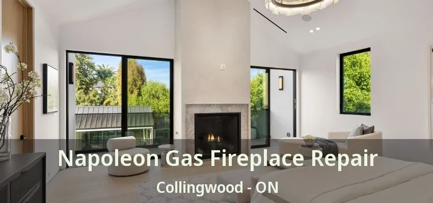 Napoleon Gas Fireplace Repair Collingwood - ON Napoleon Gas Fireplace Repair Collingwood - ON