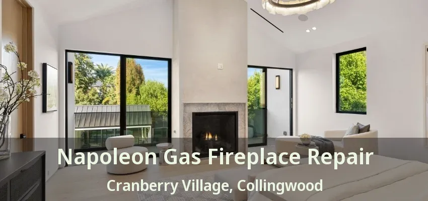 Napoleon Gas Fireplace Repair Cranberry Village, Collingwood - ON Napoleon Gas Fireplace Repair Cranberry Village, Collingwood - ON