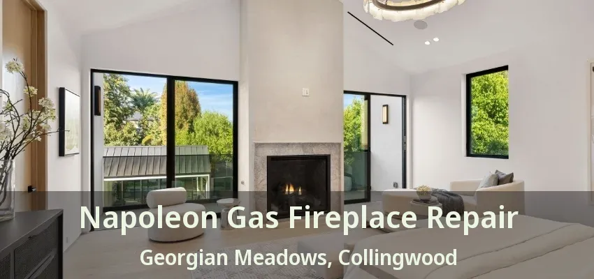 Napoleon Gas Fireplace Repair Georgian Meadows, Collingwood - ON Napoleon Gas Fireplace Repair Georgian Meadows, Collingwood - ON