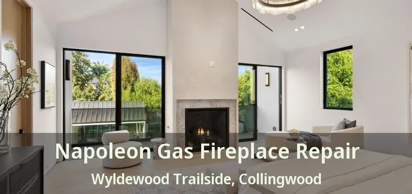 Napoleon Gas Fireplace Repair Wyldewood Trailside, Collingwood - ON Napoleon Gas Fireplace Repair Wyldewood Trailside, Collingwood - ON