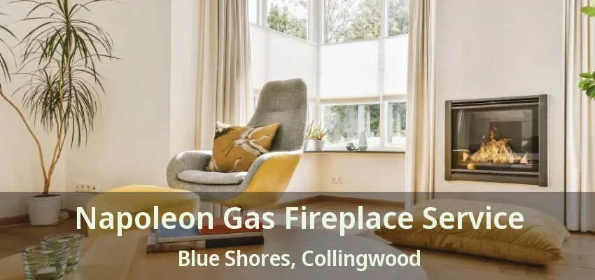 Napoleon Gas Fireplace Service Blue Shores, Collingwood - ON Napoleon Gas Fireplace Service Blue Shores, Collingwood - ON