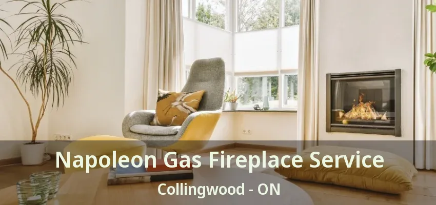 Napoleon Gas Fireplace Service Collingwood - ON Napoleon Gas Fireplace Service Collingwood - ON