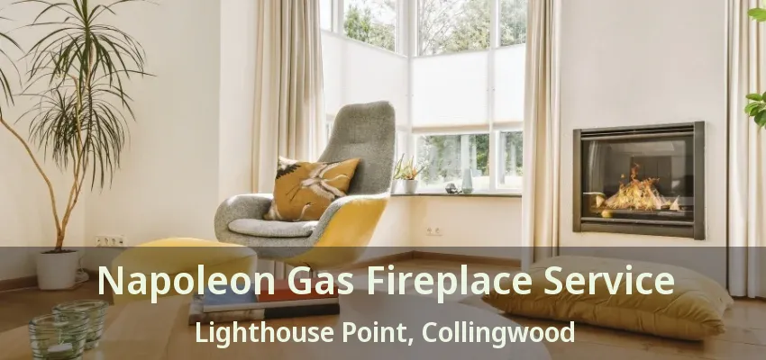 Napoleon Gas Fireplace Service Lighthouse Point, Collingwood - ON