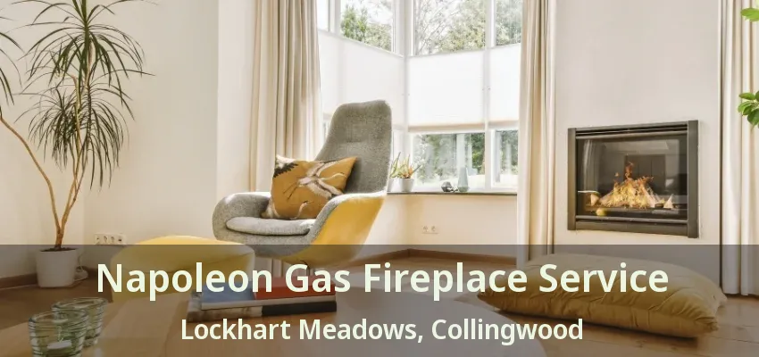 Napoleon Gas Fireplace Service Lockhart Meadows, Collingwood - ON