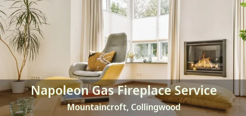 Napoleon Gas Fireplace Service Mountaincroft, Collingwood - ON Napoleon Gas Fireplace Service Mountaincroft, Collingwood - ON