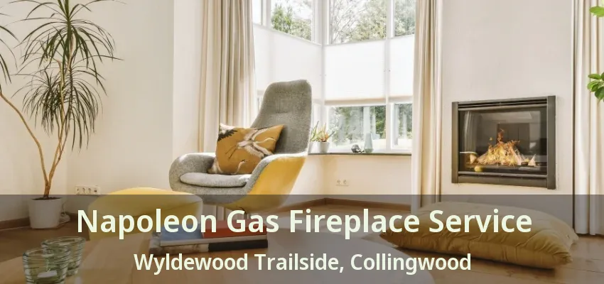 Napoleon Gas Fireplace Service Wyldewood Trailside, Collingwood - ON Napoleon Gas Fireplace Service Wyldewood Trailside, Collingwood - ON