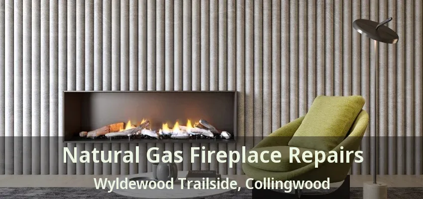 Natural Gas Fireplace Repairs Wyldewood Trailside, Collingwood - ON Natural Gas Fireplace Repairs Wyldewood Trailside, Collingwood - ON