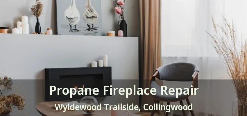 Propane Fireplace Repair Wyldewood Trailside, Collingwood - ON Propane Fireplace Repair Wyldewood Trailside, Collingwood - ON