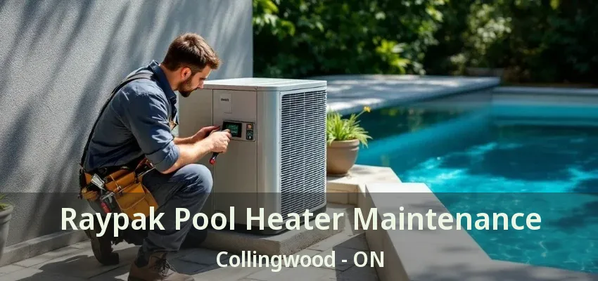 Raypak Pool Heater Maintenance Collingwood - ON Raypak Pool Heater Maintenance Collingwood - ON