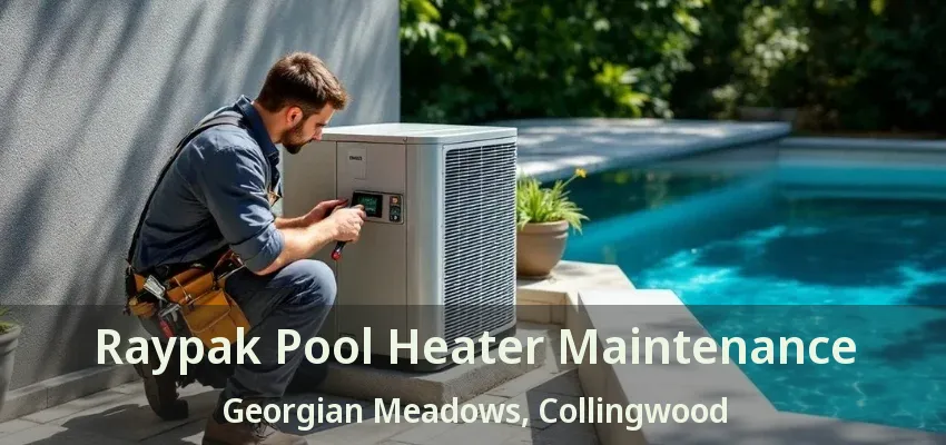 Raypak Pool Heater Maintenance Georgian Meadows, Collingwood - ON