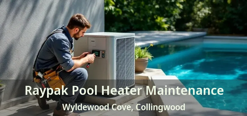 Raypak Pool Heater Maintenance Wyldewood Cove, Collingwood - ON Raypak Pool Heater Maintenance Wyldewood Cove, Collingwood - ON