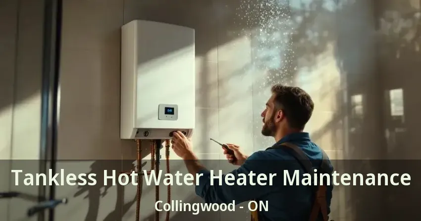 Tankless Hot Water Heater Maintenance Collingwood - ON Tankless Hot Water Heater Maintenance Collingwood - ON