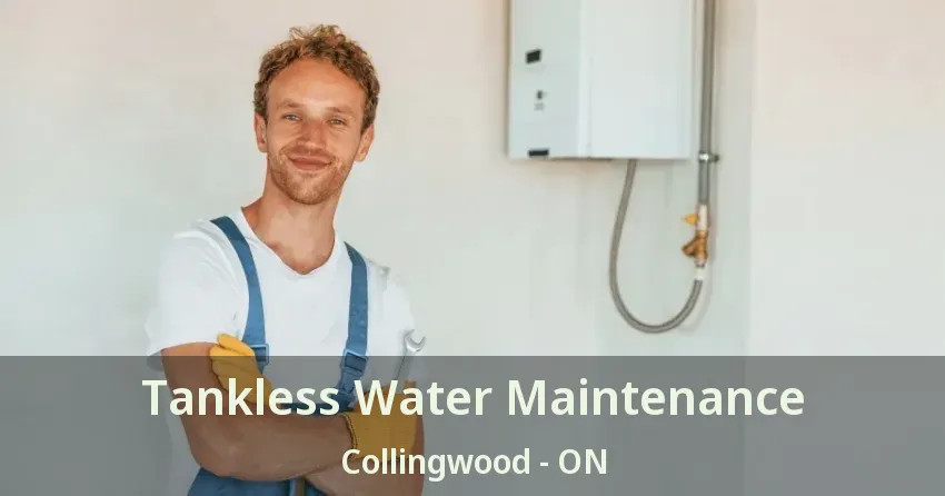 Tankless Water Maintenance Collingwood - ON Tankless Water Maintenance Collingwood - ON