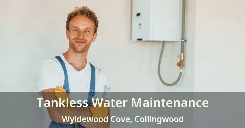 Tankless Water Maintenance Wyldewood Cove, Collingwood - ON Tankless Water Maintenance Wyldewood Cove, Collingwood - ON