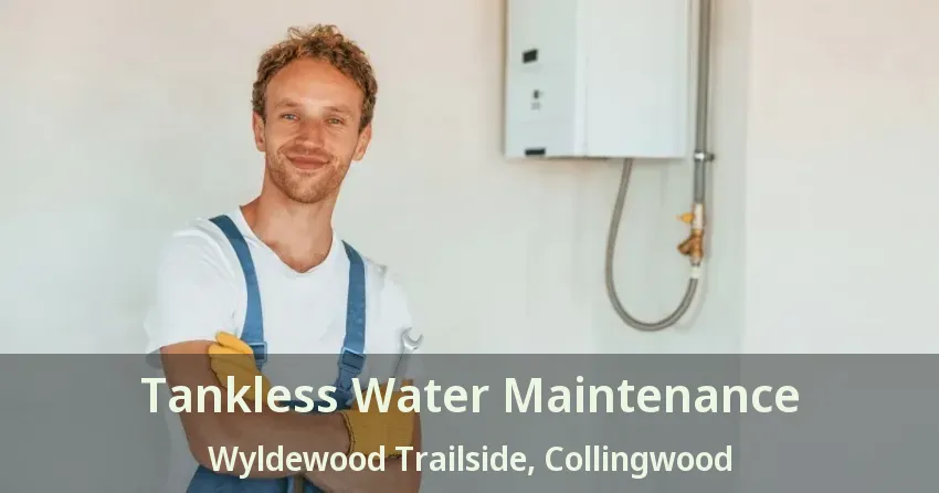 Tankless Water Maintenance Wyldewood Trailside, Collingwood - ON Tankless Water Maintenance Wyldewood Trailside, Collingwood - ON