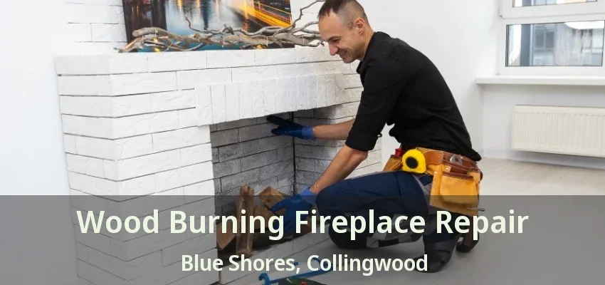 Wood Burning Fireplace Repair Blue Shores, Collingwood - ON Wood Burning Fireplace Repair Blue Shores, Collingwood - ON